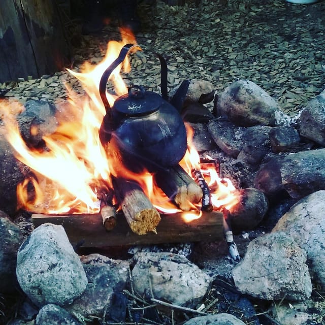 Lahti: Guided Hiking Tour to Kalliojärvi Lake - Tasting Native Plants During the Hike
