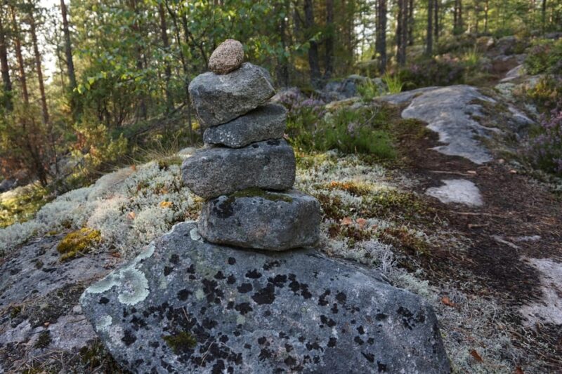 Lahti: Guided Nature Walk The Heart of The Swamp - Practical Details: What to Bring and How to Prepare