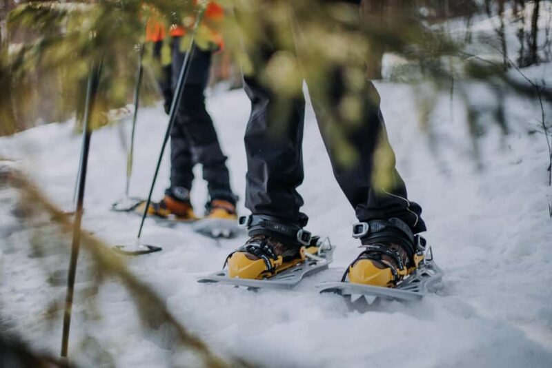 Lahti Guided Snowshoeing Tour - Key Points