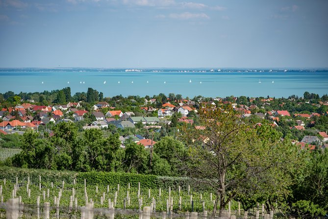 Lake Balaton Full Day Private Wine Tour - Exploring Lake Balatons Vineyards and Scenic Spots