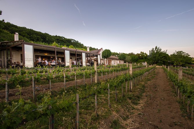 Lake Balaton Full Day Private Wine Tour - Tasting Regional Wines and Local Snacks
