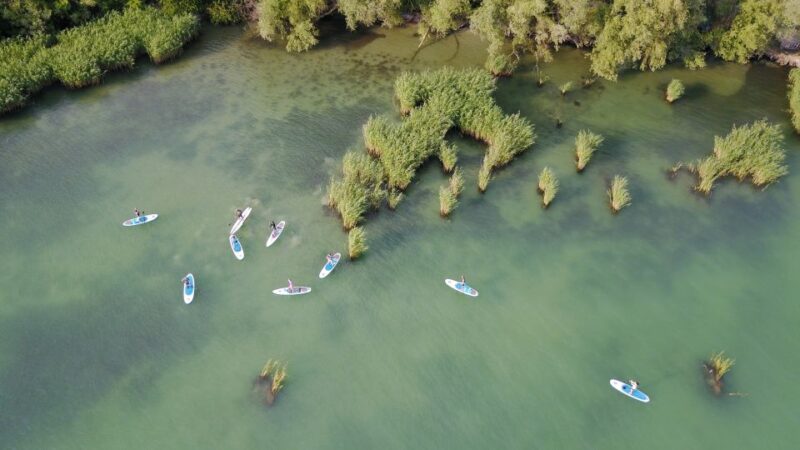 Lake Balaton: Paddle Board Tour of Tihany National Park - Key Points