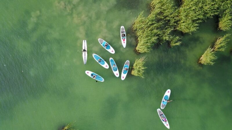 Lake Balaton: Paddle Board Tour of Tihany National Park - What to Expect During the Paddle Board Tour