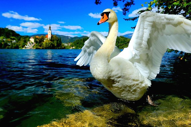 Lake Bled & Ljubljana - Shore Excursion from Trieste - Food and Beverages: Limited Included Options