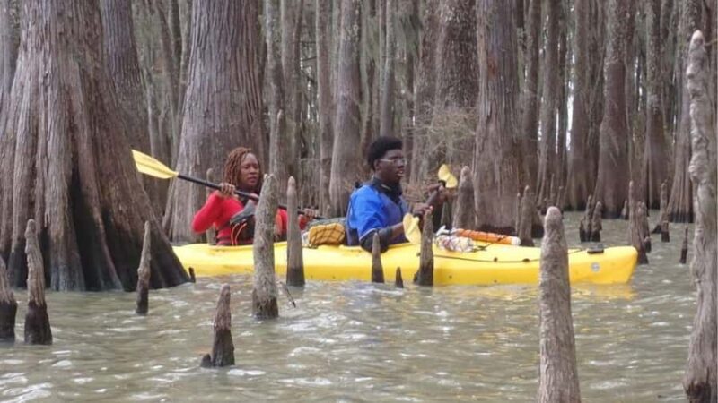 Lake Charlotte Flooded Cypress Forest | Eco Wonderland Tour - Navigating the Largest Cypress Tree Swamp in Texas