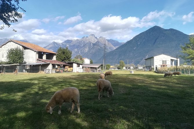 LAKE COMO BIKE TOUR Colico/Domaso - Domaso and the Lakeside Coffee Break