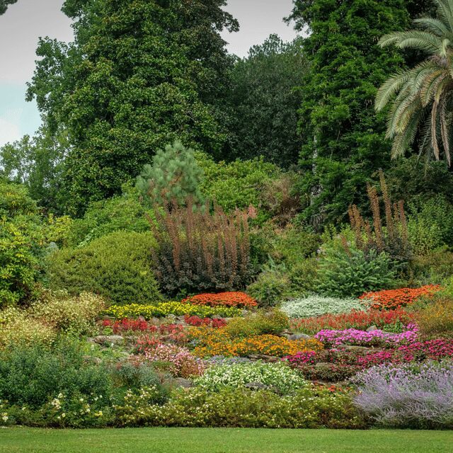 Lake Como: Villa Carlotta Entry Tickets with Ferries - The Scenic Ferry Ride on Lake Como