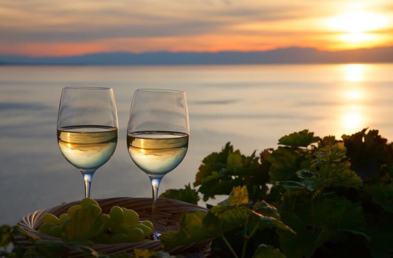 Lake Como: Winery Tour with Wine Tasting - Knowledgeable Guides and Friendly Hosts