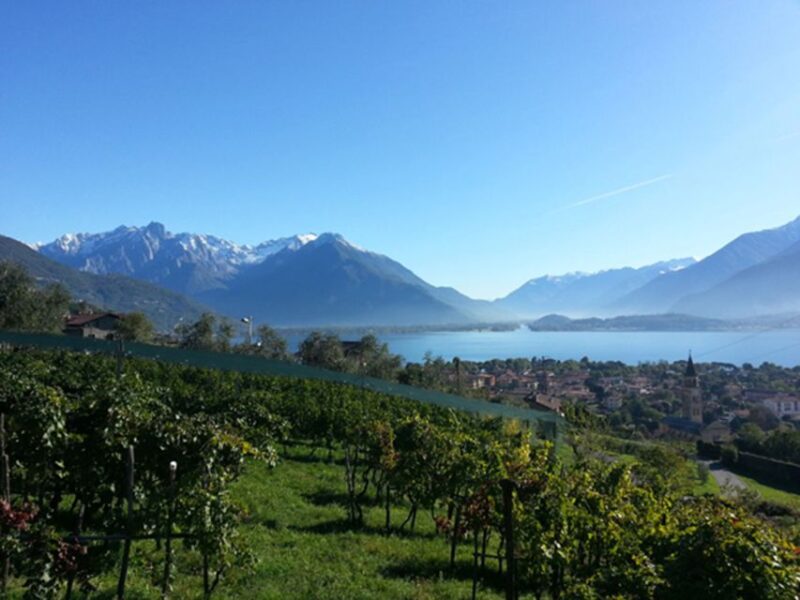 Lake Como: Winery Tour with Wine Tasting - Comparing This Tour to Similar Experiences