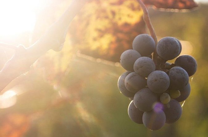 Lake Country Casual Experience - Key Points