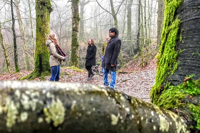 Lake District Adventure Sightseeing Day Trip from Liverpool - Breathtaking Walks and Views at Blea Tarn