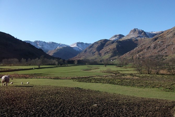 Lake District from Liverpool including Lake Cruise & Train Ride - Tarn Hows: A Picturesque Stop for Panoramic Views