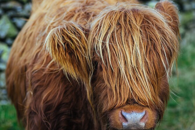 Lake District from Manchester Including Lake Cruise & Train Ride - Getting to Know the Lake District from Manchester