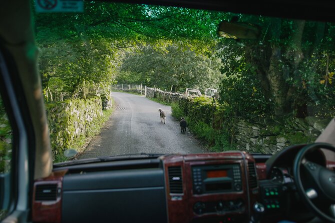 Lake District from Manchester Including Lake Cruise & Train Ride - Who Will Appreciate This Lake District Tour?