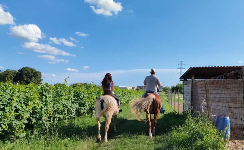 Lake Garda: 2 hours Horseback Ride in the Countryside - The Route: Carefully Chosen for Serenity and Views
