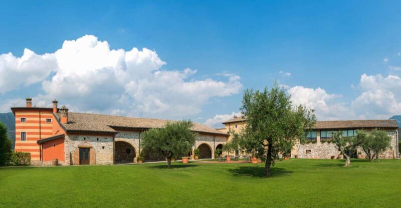 Lake Garda: Garda Hills Wine Tour and Tasting - Key Points