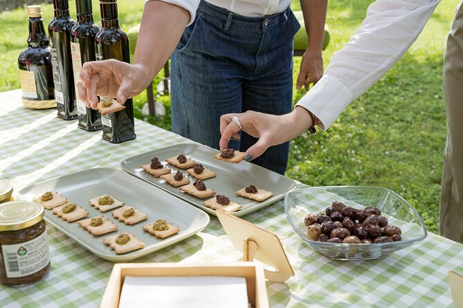 Lake Garda Olive Oil Tour and Tasting Experience - Visiting the Olive Oil Mill in Lake Garda