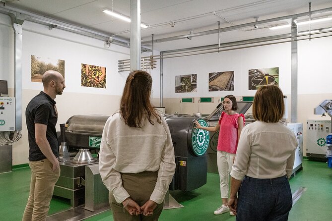 Lake Garda Olive Oil Tour and Tasting Experience - Accessibility and Additional Information