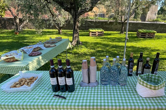 Lake Garda Olive Oil Tour and Tasting Experience - Why This Tour Stands Out