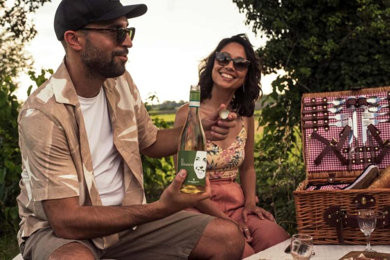 Lake Garda: Pic Nic in the vineyard with wine tasting - Lake Garda: Pic Nic in the vineyard with wine tasting – A peaceful escape into Italy’s wine country