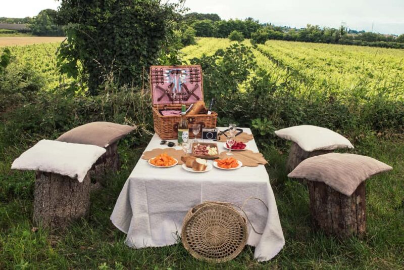 Lake Garda: Pic Nic in the vineyard with wine tasting - Key Points