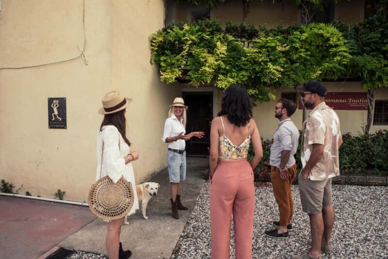 Lake Garda: Pic Nic in the vineyard with wine tasting - Frequently Asked Questions