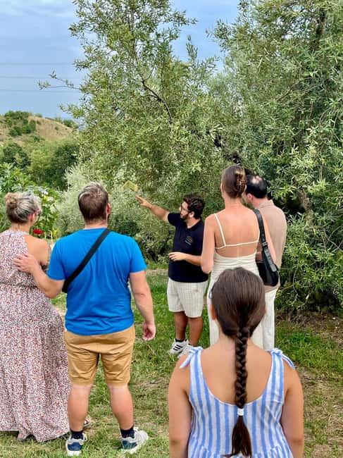 Lake Garda: Tour with 4 Olive Oil Tasting & Local Food - Exploring the Estate and Its Production Process