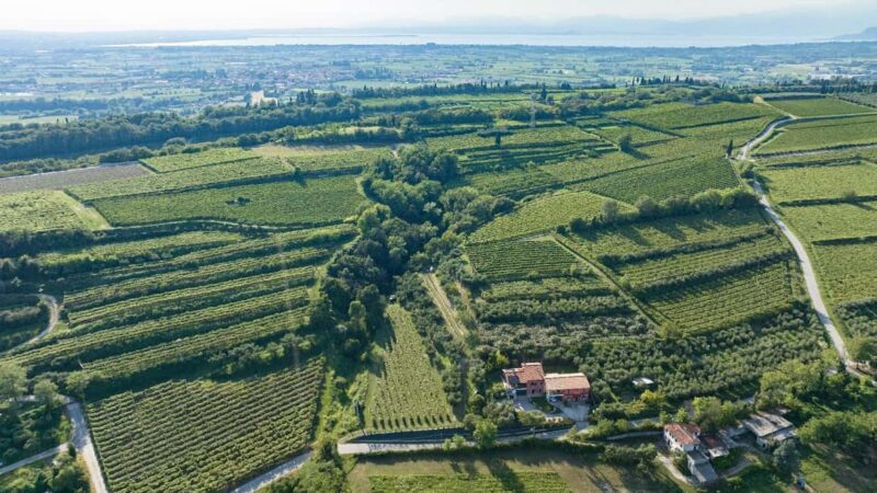 Lake Garda: Tour with 4 Olive Oil Tasting & Local Food - Who Will Enjoy This Tour?