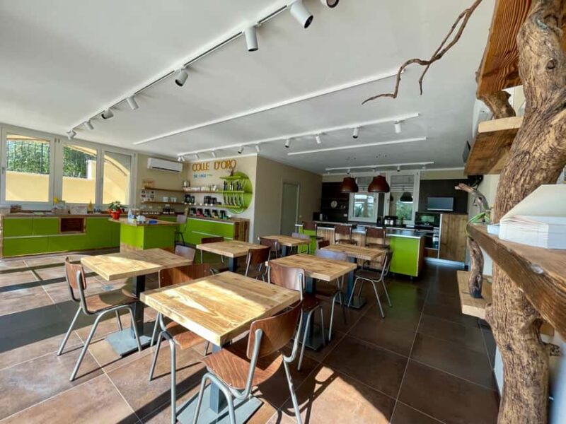 Lake Garda: Tour with 4 Olive Oil Tasting & Local Food - Final Thoughts on the Lake Garda Olive Oil Tour