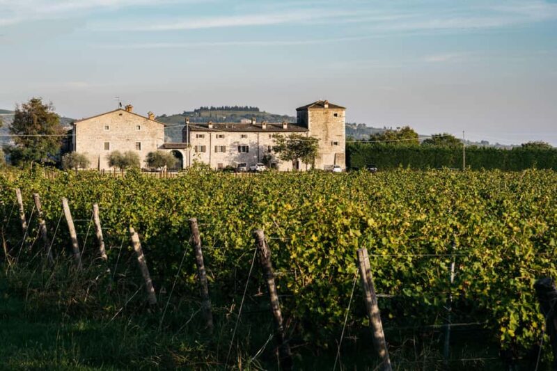 LAKE GARDA: VINEYARD AND WINERY TOUR - Key Points