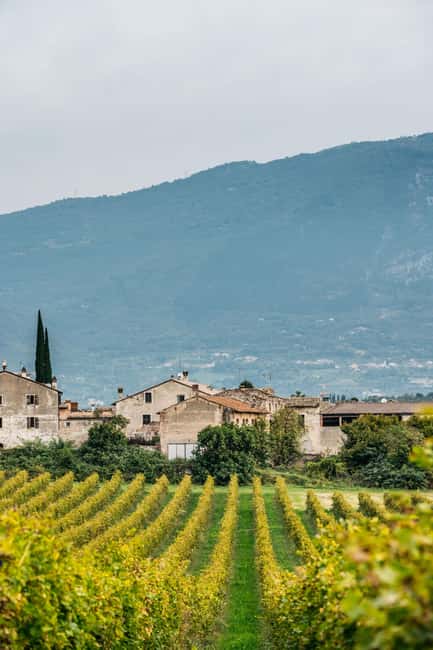 LAKE GARDA: VINEYARD AND WINERY TOUR - Why This Tour Stands Out in Lake Garda’s Wine Scene