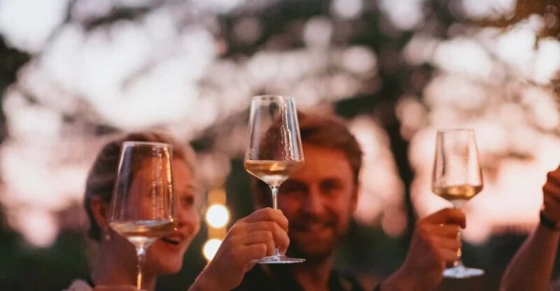 Lake Garda: Vineyard Tour and Tasting on the Hills - Key Points