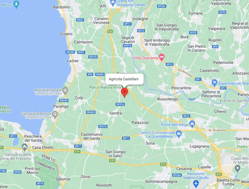 Lake Garda: Vineyard Tour and Tasting on the Hills - The Guided Tour of Agricola Castellani