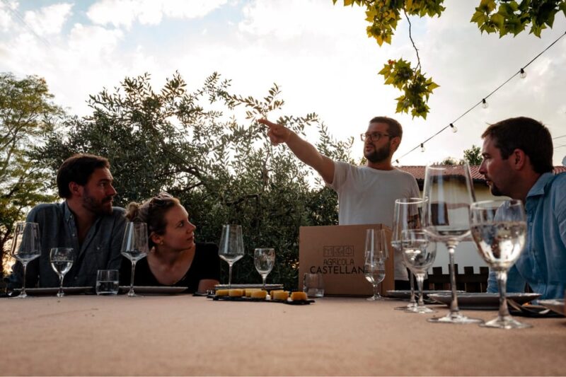 Lake Garda: Vineyard Tour and Tasting on the Hills - The Flavors of Organic Wines and Local Delicacies