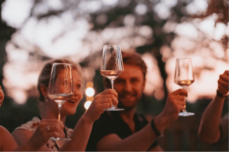 Lake Garda: Vineyard Tour and Tasting on the Hills - Accessibility and Multilingual Options