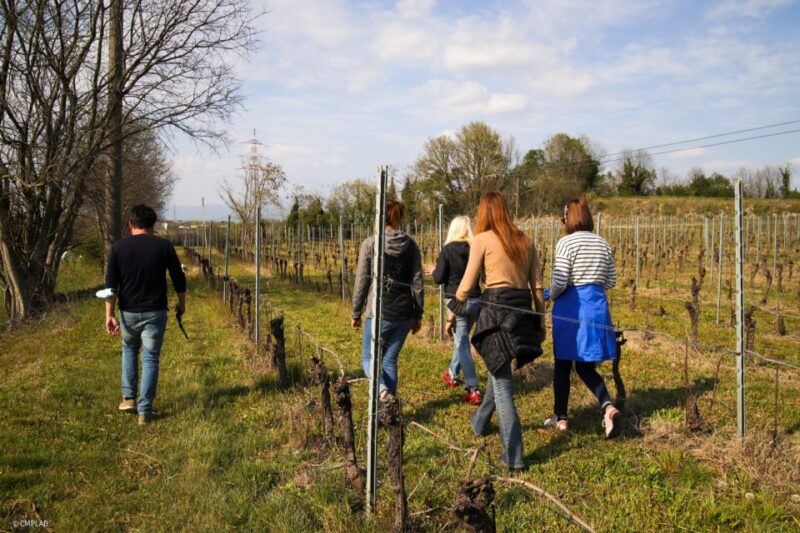 Lake Garda: Vineyards Tour and Wine Tasting - The Passionate Guide: Giovanna’s Storytelling Style
