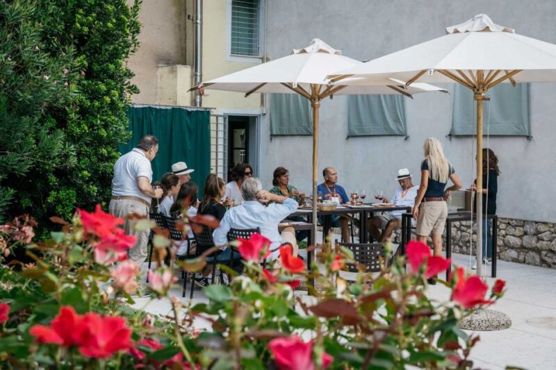 Lake Garda: Vineyards Tour and Wine Tasting - Practical Details and Accessibility