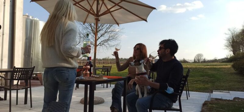 Lake Garda: Vineyards Tour and Wine Tasting - Review Insights and Practical Tips