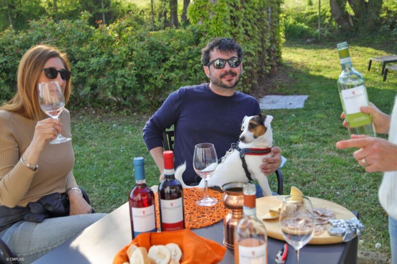 Lake Garda: Vineyards Tour and Wine Tasting - Comparing Similar Lake Garda Wine Experiences