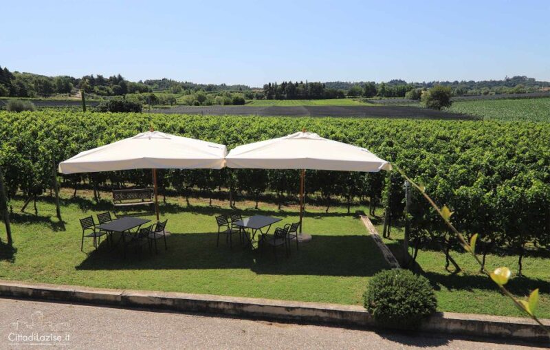 Lake Garda: Wine and Food Tastings in the Vineyards - Practical Details: Meeting Points and Accessibility