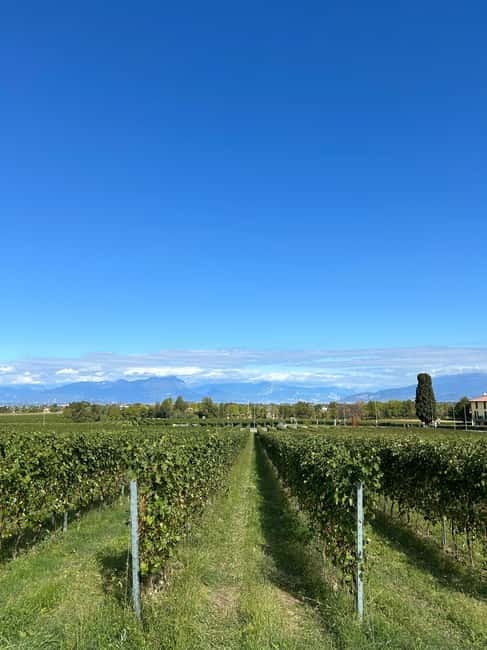 Lake Garda: Wine Tasting and Myths Tour with Local Snacks - Exploring Lake Garda’s Legend-Inspired Winemaking at Villa Meneghello