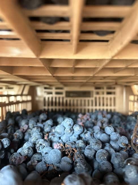 Lake Garda: Wine Tasting and Myths Tour with Local Snacks - The Itinerary: From the Cellar to the Tasting Room