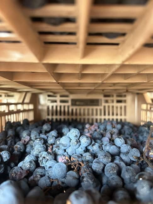 Lake Garda: Wine Tasting and Myths Tour with Local Snacks - Accessibility and Comfort Considerations