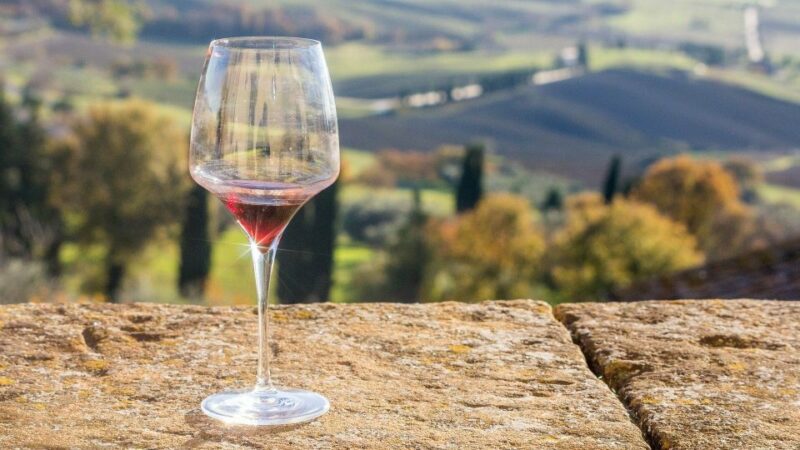 Lake Garda: Wine Tour and Tasting Experience in Bardolino - Limitations to Consider