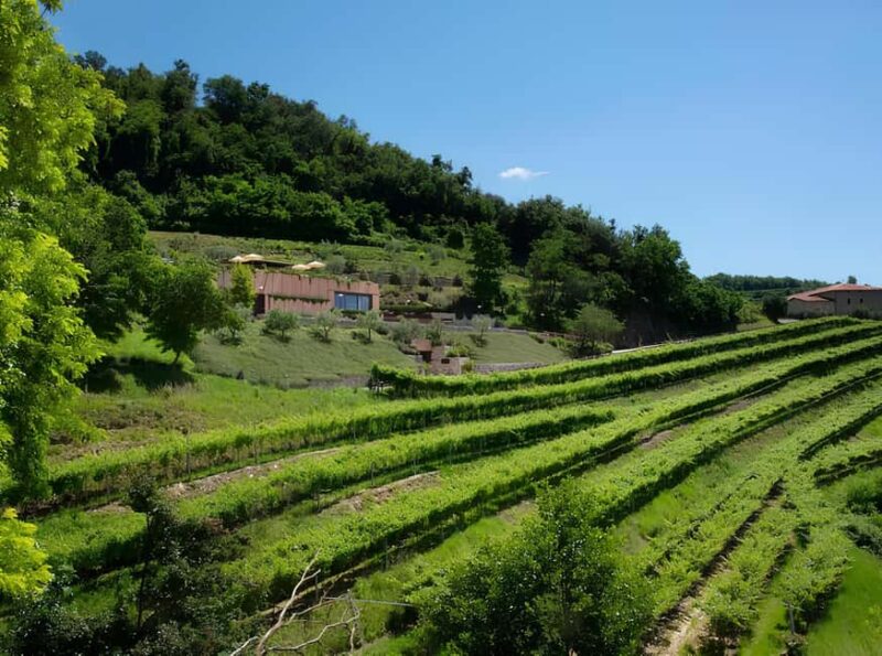 Lake Garda: Winery Tour and Wine Tasting in Valpolicella - Comparing Similar Experiences