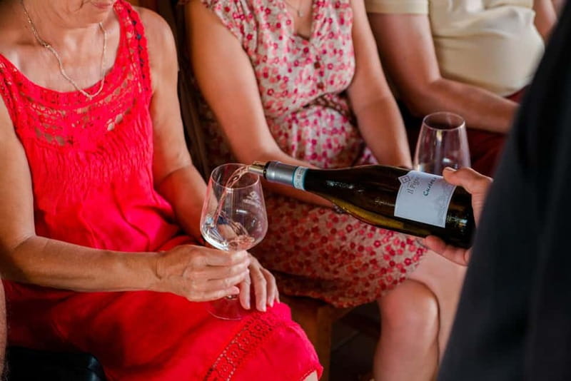 Lake Garda: Winery Tour & Wine Tasting with Local Delicacies - The Five-Wine Tasting and Food Pairings