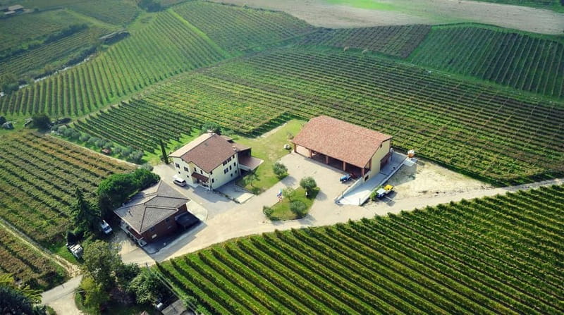 Lake Garda: Winery Tour & Wine Tasting with Local Delicacies - Small Group Atmosphere and Multilingual Guides