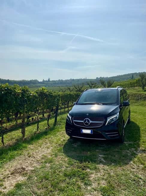 Lake Garda: Winery Visit with Wine and Olive Oil Tasting - Key Points