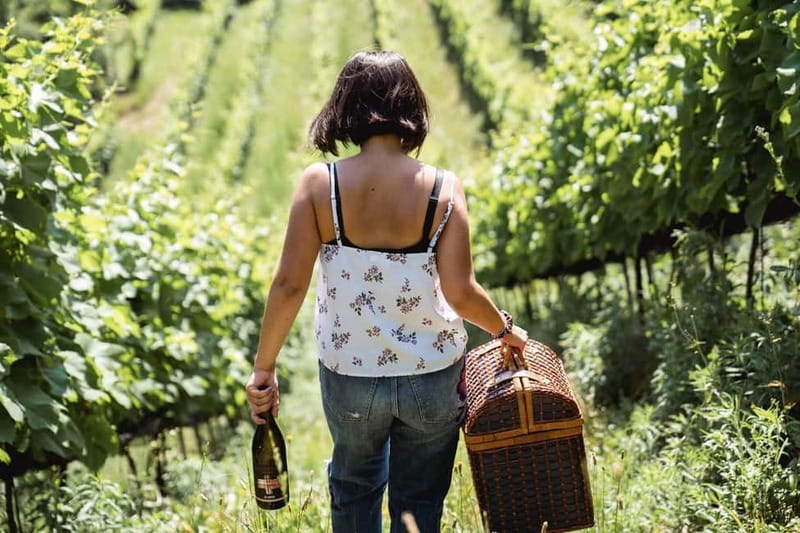 Lake Ledro: wine Pic Nic with stunning Lake View - Lake Ledro: wine Pic Nic with stunning Lake View – A Relaxing Taste of Lombardy