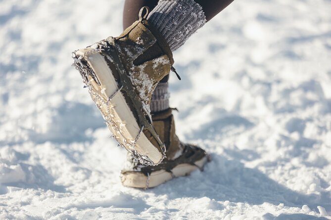 Lake Louise and Icefields Parkway Winter Tour - Visiting Lake Louise for a Full Scenic and Active Experience